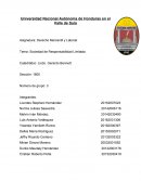 Sociedad de Responsabilidad Limitada en Honduras.