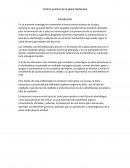 Control de la placa bacteriana.