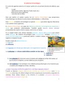 Cómo funciona específicamente el sistema inmunológico?