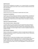 Paciente femenina identificada con los siglas K.J.H.A