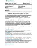 Áreas de oportunidad de comercio en Cancún.