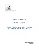 E X P E R I M E N T O C I E N T I F I C O “COMO VER TU VOZ”