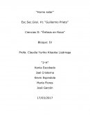 Horno solar Ciencias II: “Énfasis en física”