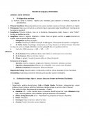 Resumen de Lenguaje y Universalidad UNIDAD I: EDAD ANTIGUA