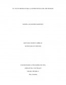 UN NUEVO MODELO PARA LA SUPERVIVENCIA DEL SER HUMANO