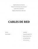 Cables de Red. PATCH CORE Cable de conexión (patch cord)