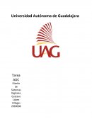 Convertidor digital analogico.