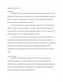 En el presente ensayo se abordará un tema muy importante para el sector eléctrico y para todo público