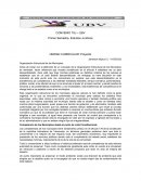 Organización Estructural de los Municipios