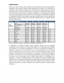 Análisis del Sector producción de sombreros