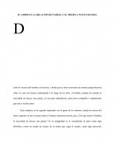 EL AMOR EN LA RELACIÓN DE PAREJA Y EL MIEDO A ESTAR SOLOS