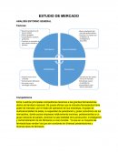 ESTUDIO DE MERCADO ANALISIS ENTORNO GENERAL