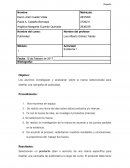 Publicidad. Evidencia 1