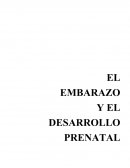 El embarazo y el desarrollo prenatal