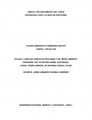 DESARROLLO DEL TEMA PREGUNTAS ORIENTADORAS DE ANÁLISIS