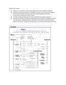 Dinamica de sistemas. 4 fenómenos relevantes