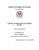 Control de inventarios en floreria Paloma