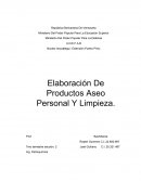 Proyecto de metodologia para la investigacion