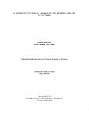 Trabajo de Grado para optar por el título de Magíster en Mercadeo