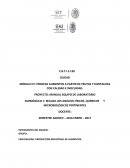PROCESA ALIMENTOS A PARTIR DE FRUTAS Y HORTALIZAS CON CALIDAD E INOCUIDAD