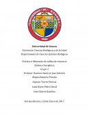 Práctica 6 Obtención de sulfato de estroncio