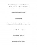 El documental titulado “DE PANZAZO” refleja la realidad de la educación en México y pone en evidencia que la sociedad pasa “de panzazo”, en un sistema excluyente donde no se logran los propósitos que supuestamente exige la educación.