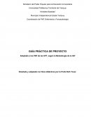 GUÍA PRÁCTICA DE PROYECTO Adaptada a los PNF de las UPT, según la Metodología de la IAP