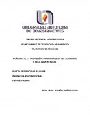 TRATAMIENTOS TÉRMICOS PRÁCTICA No. 2: ¨INDUCCIÓN: DIMENSIONES DE LOS ALIMENTOS Y DE LA ALIMENTACIÓN¨