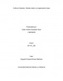 Cultivos Celulares. Células madre y la regeneración ósea Presentado por: Cesar Andres Quesada Vique