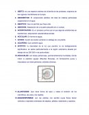Glosario de terminos