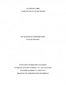 ANÁLISIS DEL LIBRO. PLAN DE NEGOCIOS