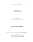 Cinco Lenguajes del Amor