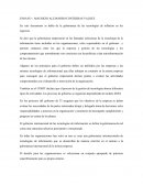 Ensayo de Tecnologías de Informacion