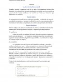 Aquellos criterios o aquellos actos de los que el ordenamiento jurídico hace depender la producción de normas jurídicas, pero no solo son los procesos de creación de las normas jurídicas si no también los ¨factores y elementos que determinan su con