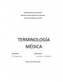 La terminología médica, como todo lenguaje científico