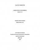 CALOR DE COMBUSTIÓN LABORATORIO DE FISICOQUÍMICA