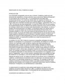 Determinación de Urea y Creatinina en sangre