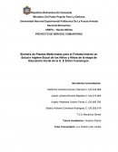 Siembra de Plantas Medicinales para el Fortalecimiento en Salud e higiene Bucal de los Niños y Niñas de la etapa de Educación Inicial de la U. E Emiro Fuenmayor.