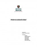 Violación del supuesto de heterocedasticidad