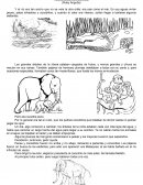 CUENTO Plumas de cocodrilo