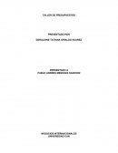 Presupuestos. NEGOCIOS INTERNACIONALES