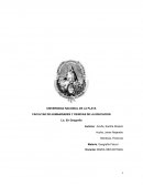 Geografía Física I de la Carrera de Geografía de la Universidad Nacional de La Plata