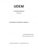 Epistemología Del escepticismo al empirismo y racionalismo