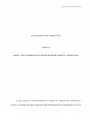 Comparación sistema de salud de P. R. y E.U.