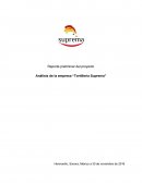 Reporte preliminar del proyecto Análisis de la empresa “Tortillería Suprema”