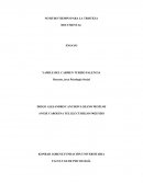 ENSAYO PSICOLOGIA SOCIAL ¡QUEREMOS PAZ, NO MÁS GUERRA!