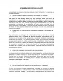 CASO DE LABORATORIOS NAMASTÉ