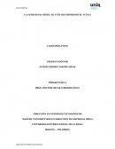 LA ESTRATEGIA MÓVIL DE VUELING EMPRENDE EL VUELO CASOS PRÁCTICOS