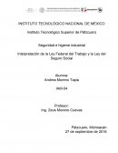 Leyes de seguridad e higiene segun STPS.