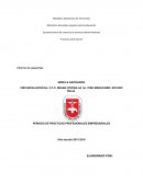 Informe de Pasantias.